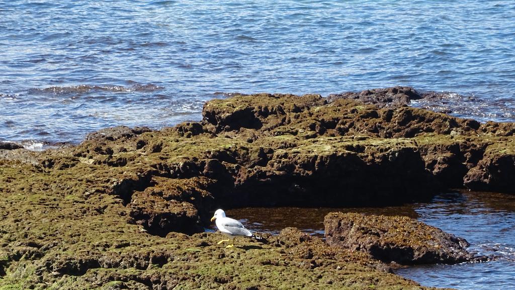 Brisamar Canteras Las Palmas de Gran Canaria Kültér fotó